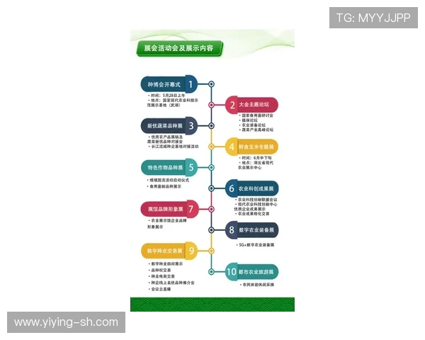 武汉飞盘队运营革新探索:从传统到现代的全新转型之路 武汉飞盘队运营革新探索:从传统到现代的全新转型之路