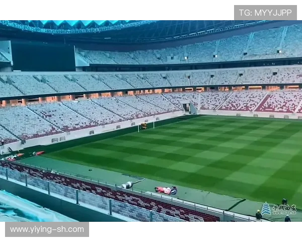 西安足球队实力分析与表现评估：数据透视球队竞争力与发展潜力