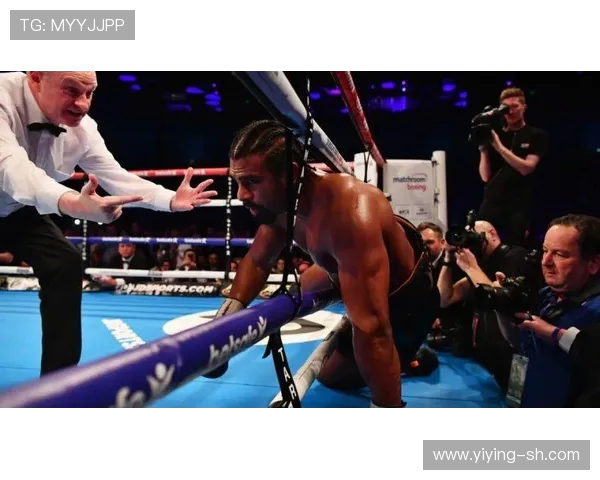 托尼贝柳与海耶的巅峰对决谁能笑到最后揭开拳坛新篇章 托尼贝柳与海耶的巅峰对决谁能笑到最后揭开拳坛新篇章