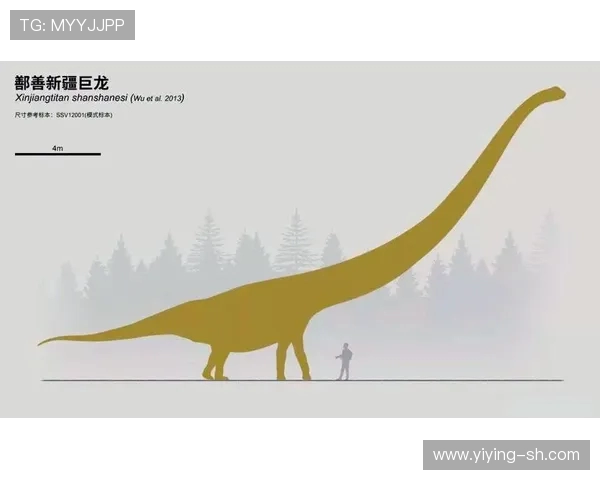 探索奥蓬达的魅力与历史价值，揭示其在文化交流中的独特地位与影响力