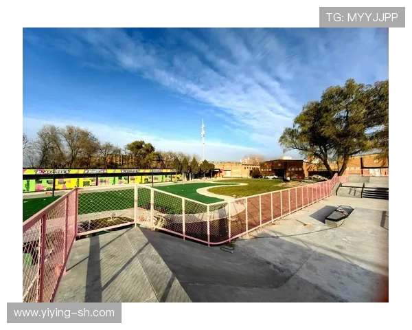 滑板战术解析:深入探讨北京滑板队的创新进攻体系与战术布局 滑板战术解析:深入探讨北京滑板队的创新进攻体系与战术布局