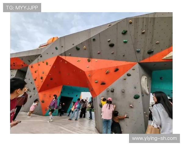 杭州攀岩队在极限运动嘉年华中的灵活性表现精彩点评与分析