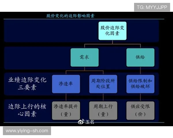 杭州极限运动队的运营模式与市场热点分析探讨